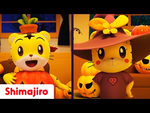 It's Halloween! 🎃👻🦇| Sing and dance with Shimajiro | Kids songs & Nursery Rhymes