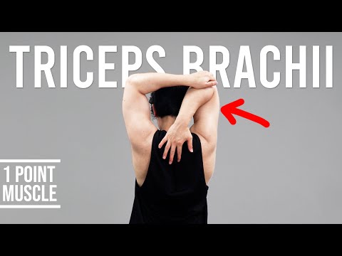 Do This for Elbow Arm Finger Pain｜Triceps Brachii｜Hisdream Stretching Library