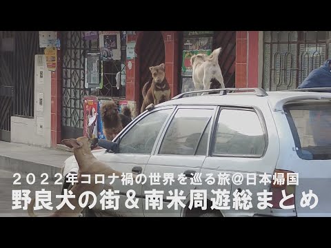 日本帰国～野良犬だらけのペルー・リマ＆１か月半で南米７か国周遊