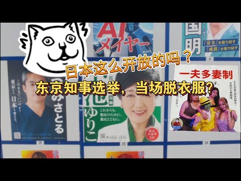 东京知事选举直接脱衣服？日本这么开放的吗？｜还有一夫多妻制？真的不是搞笑的