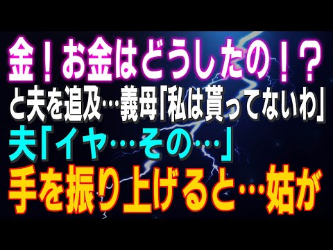 【スカッとする話】私「金！お金はどうしたの！？」と夫を追及 義母「私は貰ってないわ」夫「イヤ…その…」私が手をあげると…姑が⇒結果