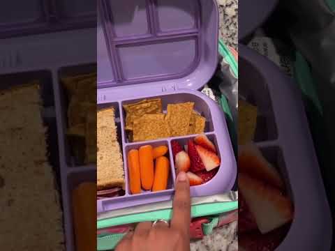 School Lunchbox Video #lunchbox #lunchboxideas #schoollunchbox