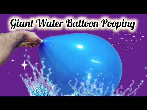 Giant water Balloon Pooping | popped the water Balloon | Big water Balloon Pop