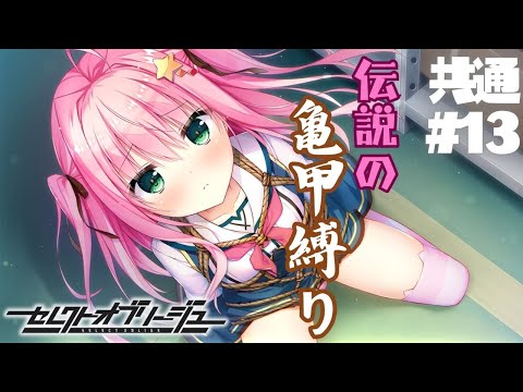 【セレクトオブリージュ】共通√ part13【実況プレイ】