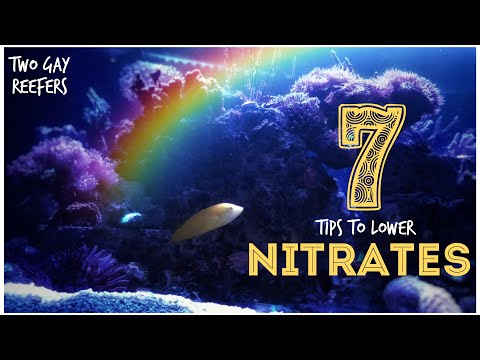 7 Tips to Lower Nitrates in a Reef Tank