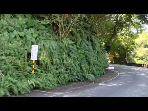 Taipei zoo shuttle car