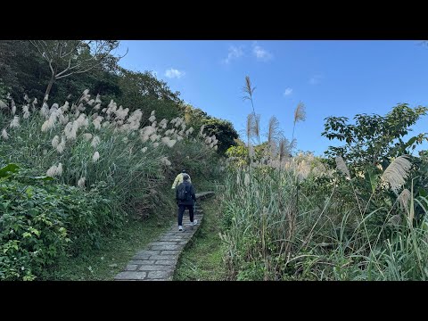 2024年12月29日／Taipei 台北／貓空Maokong ／樟湖步道／優人神鼓（什麼都看不到）