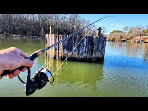 Fishing For My Lunch!! (Weirdest meal of my life)