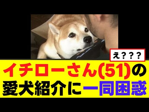 【わんこ】イチローさん(51)の愛犬紹介に一同困惑