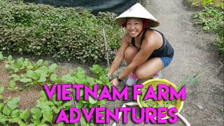 Vietnam Adventures: Ho Chi Minh Farm Tour