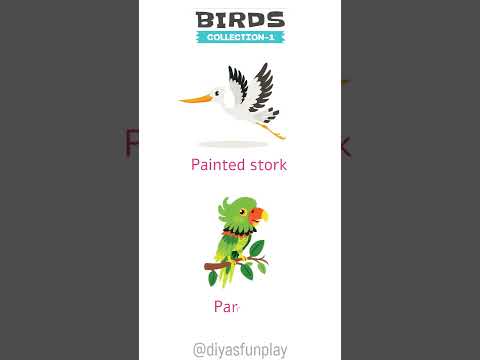 birds for kids - birds with names and pictures for kids - bird names in english - #shorts