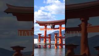 【 宮島 】 #広島 #広島観光 #廿日市 #宮島 #厳島神社 #vlog