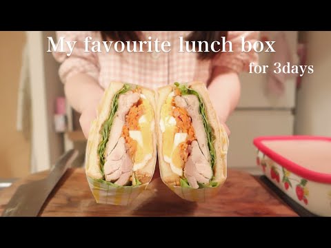 [Lunchbox] My favorite bento for 3 days vlog / New oven range