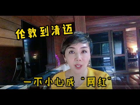 一不小心成了网红