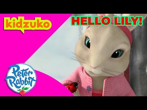 @OfficialPeterRabbit - 💖🐰 Hello Lily Bobtail 🐰💖 | Best Bits! | @Kidzuko