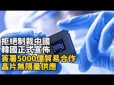 支持臺灣統一，拒絕制裁中國，韓國正式宣佈：簽署5000億貿易合作，晶片無限量供應