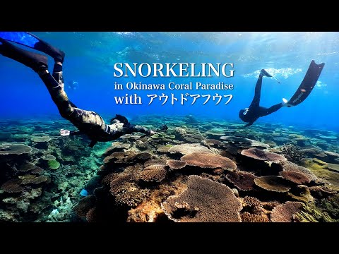 A Collaboration with Outdoorfufu | Snorkeling in Okinawa, Japan｜アウトドアフウフさんと沖縄のシークレットビーチでシュノーケリング