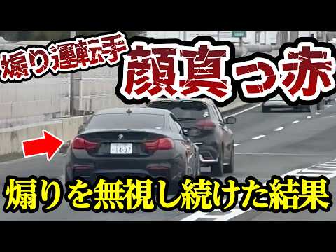 あおり運転を無視し続けた結果、最高にスッキリ【ドラレコ】交通安全チャンネル【023】