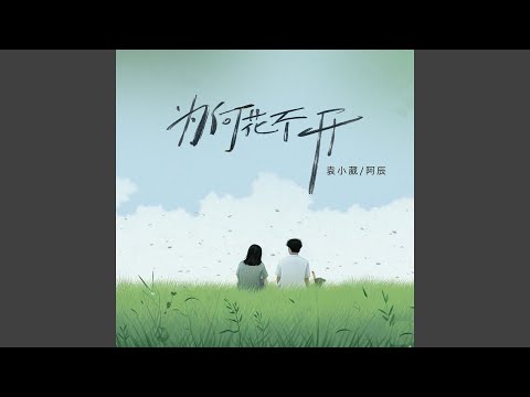 为何花不开 (伴奏)