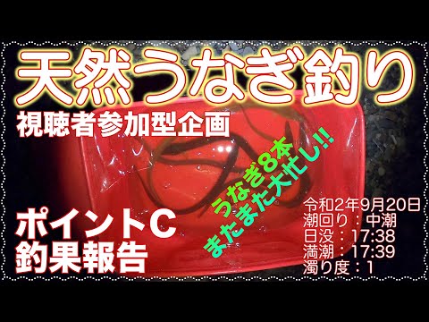 うなぎ釣り (天然うなぎ)　視聴者参加企画 ポイントC釣果報告 ドバミミズ使用