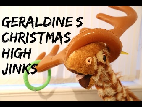 Geraldine's Christmas High Jinks