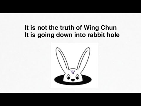 Get out of Rabbit hole Wing Chun: 1, Introduction  ( Watch with 1.5x speed)