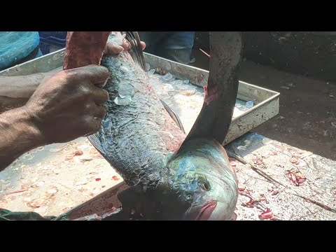 Big Catla Fish Cutting | Fish Cutting Skills | Giant fish | Bangladesh Fish Supermarket