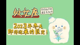 处女座♍️即将迎来的重大转变|2023年的断舍离｜2023年四季度运势|冬季运势|跨年运势