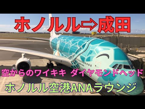 ホノルル発成田　ホノルル空港ANAラウンジ　空から見たワイキキ