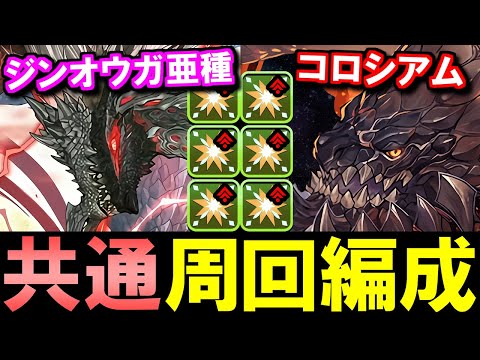 【これ組もう】編成変更不要&部位破壊ボーナス多め!!ジンオウガ亜種降臨&モンハンコロシアム共通周回編成!!【パズドラ】