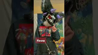 BEST Furry TikToks compilation 0378 #shorts #furrytiktok #furry #furrycompilation  #funnyvideo