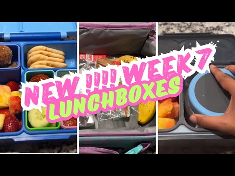 NEW Lunchbox Ideas for Back to School / Realistic School Lunches / School lunchbox ideas