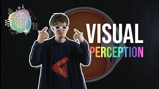 Visual Perception