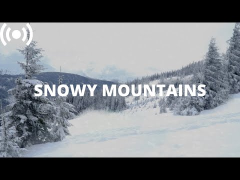 Winter Blizzard Storm Ambience in Snowy Mountains w/ Icy Howling Wind Sounds for Sleeping, Relaxing