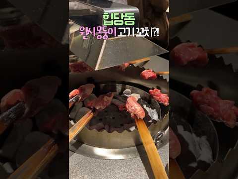 줄서는식당2’ 박세리언니가 다녀온 나만 알고 싶은 신당 맛집!! 그 진실은?! #하오카오스탠 #꼬치구이 #shorts