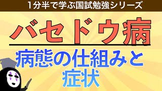 1分半で学ぶ国試勉強シリーズ「バセドウ病の病態とは」症状の機序をわかりやすく解説！