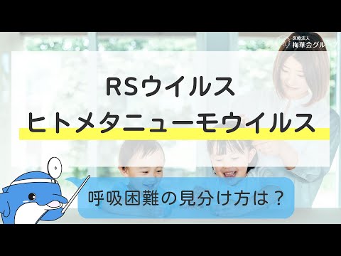 ＼しんどい・・・／＼長引く発熱に鼻水、ただの風邪じゃなないかも！RSやヒトメタニューモってどんな病気？／