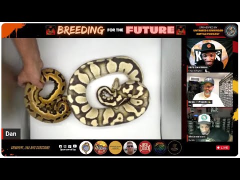 Breeding for the Future - Ep 2 - Vision Quest Reptiles