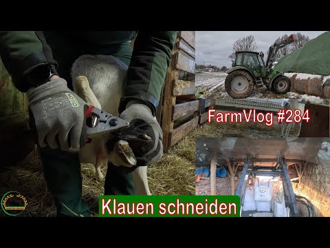 Farmvlog #284: Pediküre bei den Ziegen