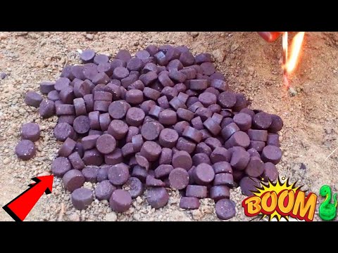 1000 Snake BOMB Fire At Once 🔥 || इतने सारे साप की गोलिया 💥 एक साथ