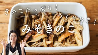 【きのこの作り置き】みそきのこのレシピ・作り方