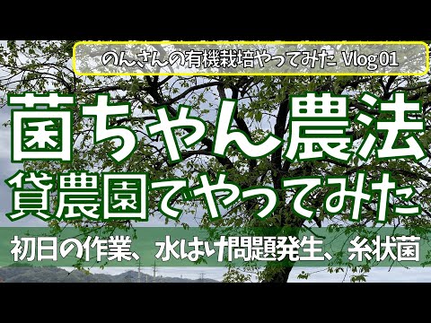 女ひとりで、有機栽培　菌ちゃん農法　貸農園でやってみた｜初日の作業　のんさんの有機栽培やってみた Vlog 01