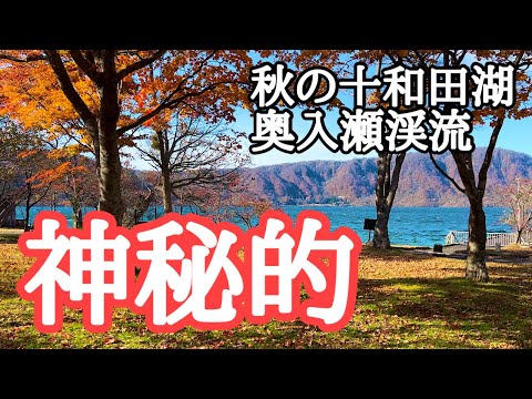 【2024紅葉名所巡り】美しく神秘的な十和田湖、そして奥入瀬渓流　撮影：2024年11月4日