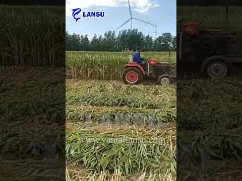 Small corn wheat harvester rice reaper alfalfa mowers reaper machine