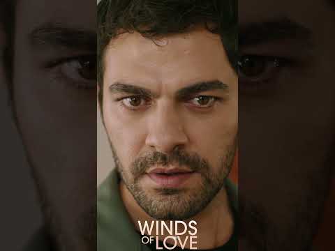 Kalbinde bana sevgi kaldı mı? | #windsoflove #shorts #ruzgarlitepe