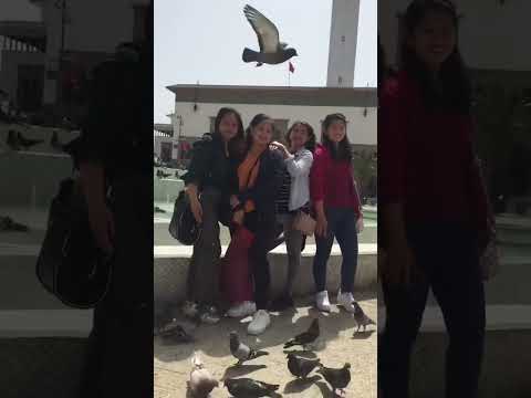 Playing with the pigeons at 📍Mohammed V Square, Casablanca 🇲🇦 #travelmorocco #wheretogo