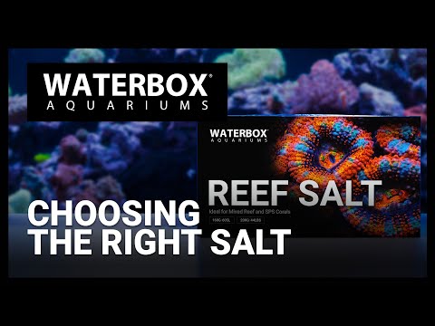 Episode 140:  Choosing the right salt mix for your aquarium. Top Mistakes and tips for mixing salt.