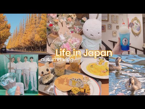 Autumn in Japan vlog | SHINee concert, Flower Miffy, Chiikawa, pokemon cafe 🍂 Living in Japan