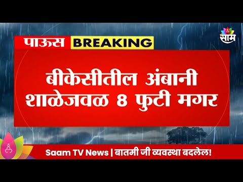 Mumbai Rain News:मुंबईतल्या मिठी नदीत अजस्त्र मगर, अंबानी शाळेजवळ 8 फुटी मगर Marathi News |