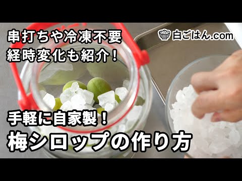 手軽に自家製！梅シロップの作り方／手順も詳しく、経時変化も紹介！